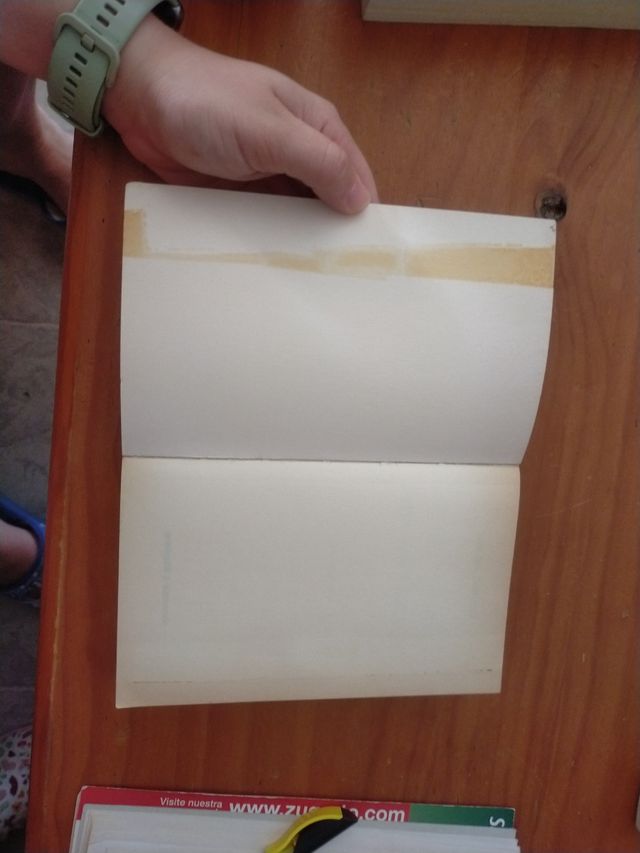 Libro de autoayuda Viva sin temores