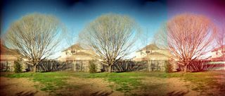 Image Tech 3D1000 Camara