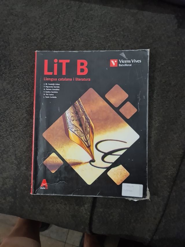 LLENGUA CATALANA I LITERATURA B AULA 3D