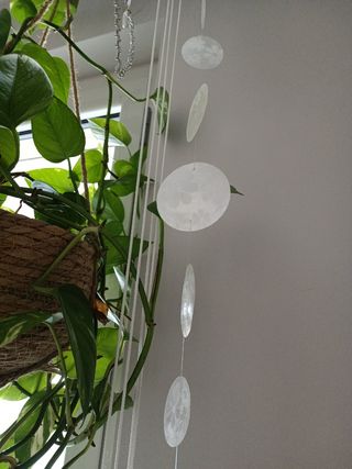 Decoro da appendere 
