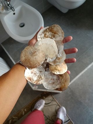 Decoro da appendere 
