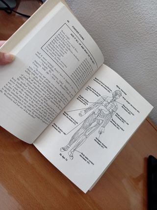 LIBRO FOREVER YOUNG - STUART M.BERGER,M.D.