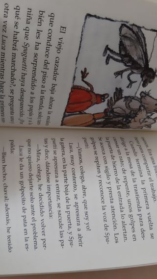 Gato cegato busca perro guía