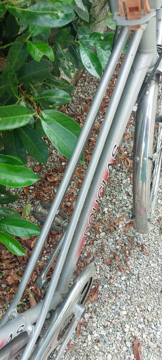 Bicicletta donna grigia