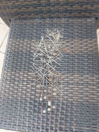 Silla de terraza jardín