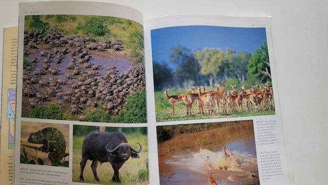 LUANGWA ZAMBIA'S TREASURE