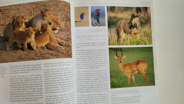 LUANGWA ZAMBIA'S TREASURE