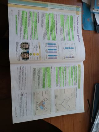 Libro bio y geo 4eso Vicens Vives