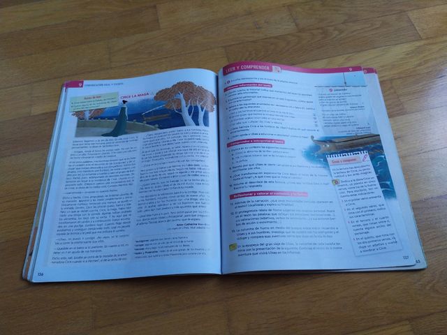 Lengua Castellana y Literatura 2 ESO