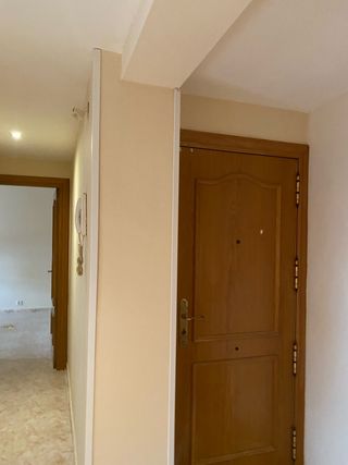 ECONOMICO pintor y manitas en el hogar