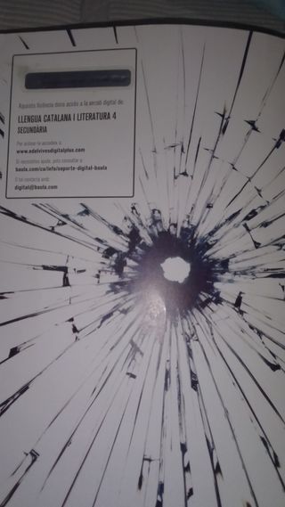 Secundaria baula Llengua catalana literatura 4