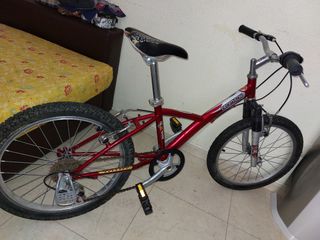 Bicicleta en buen estado.