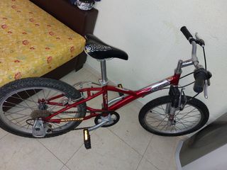 Bicicleta en buen estado.