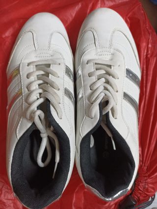 Zapatos de vestir, zapatillas, manoletinas