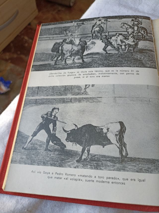 Enciclopedia Taurina