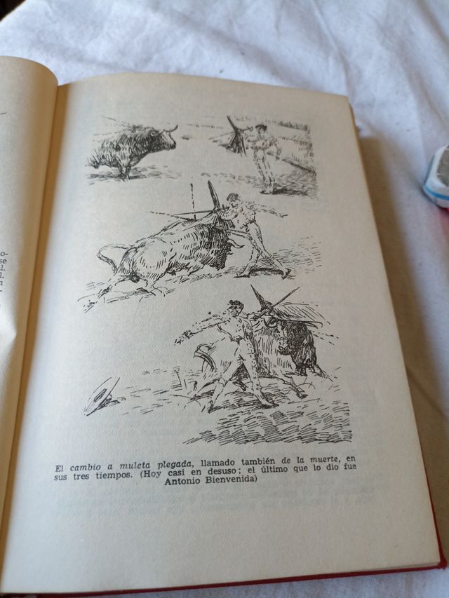 Enciclopedia Taurina