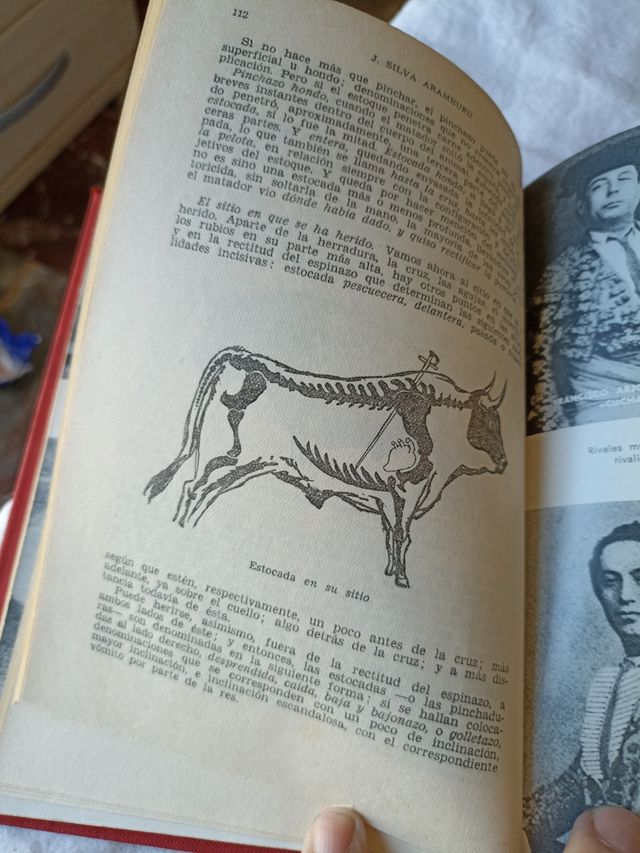 Enciclopedia Taurina