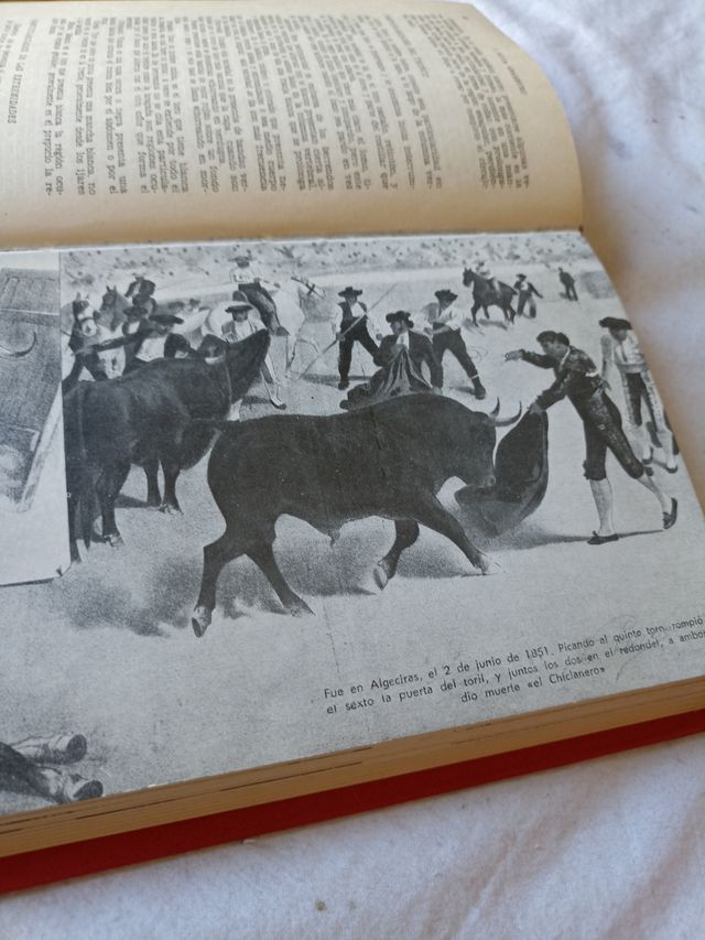 Enciclopedia Taurina