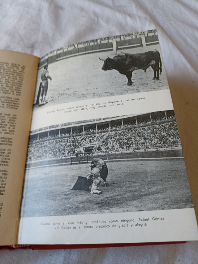 Enciclopedia Taurina