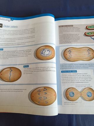 Biologia eta geologia DBH 4 ibaizabal. 2 liburu