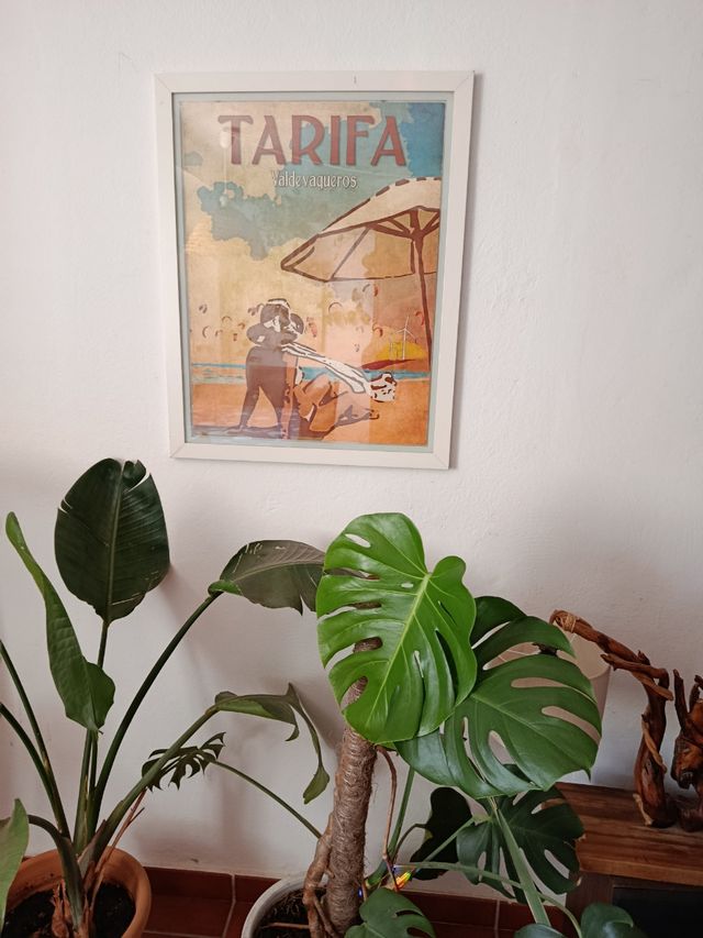 Cuadro de kitesurf valdevaqueros Tarifa vintage.