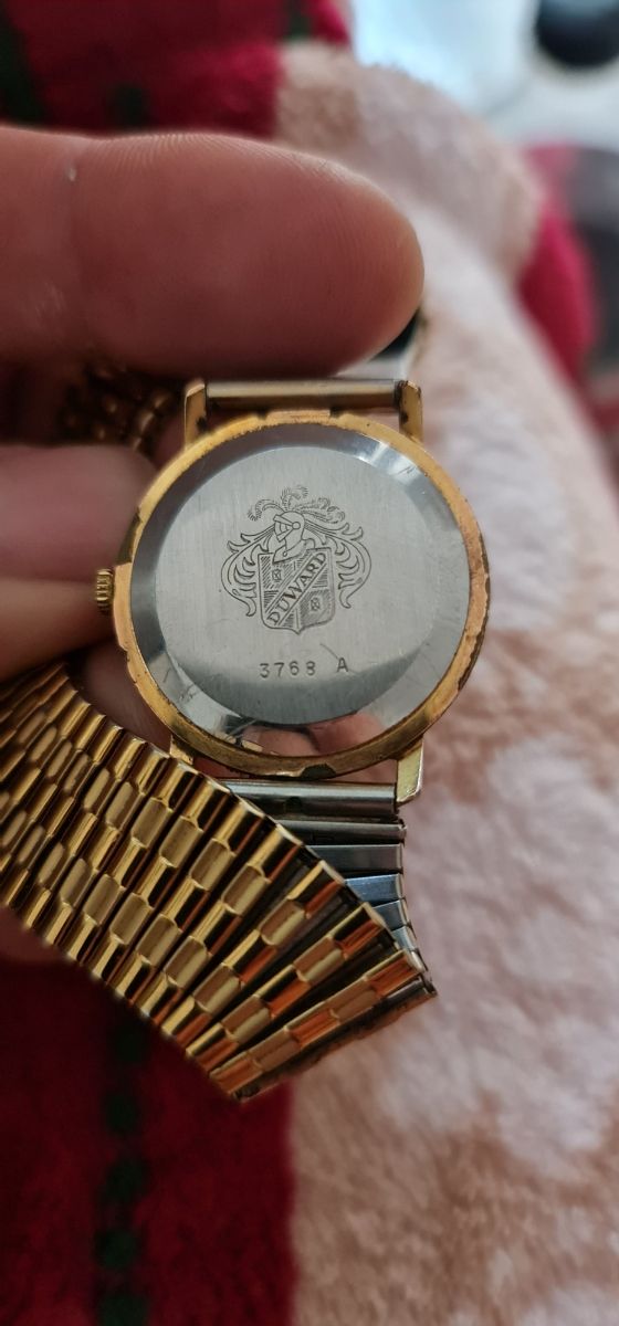 Duward Junior 17 Rubies Relógio