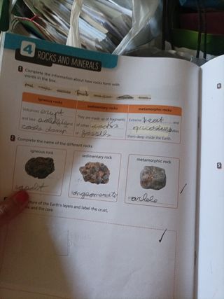 Natural y Social Science 4° primaria Lib