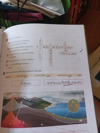 Natural y Social Science 4° primaria Lib