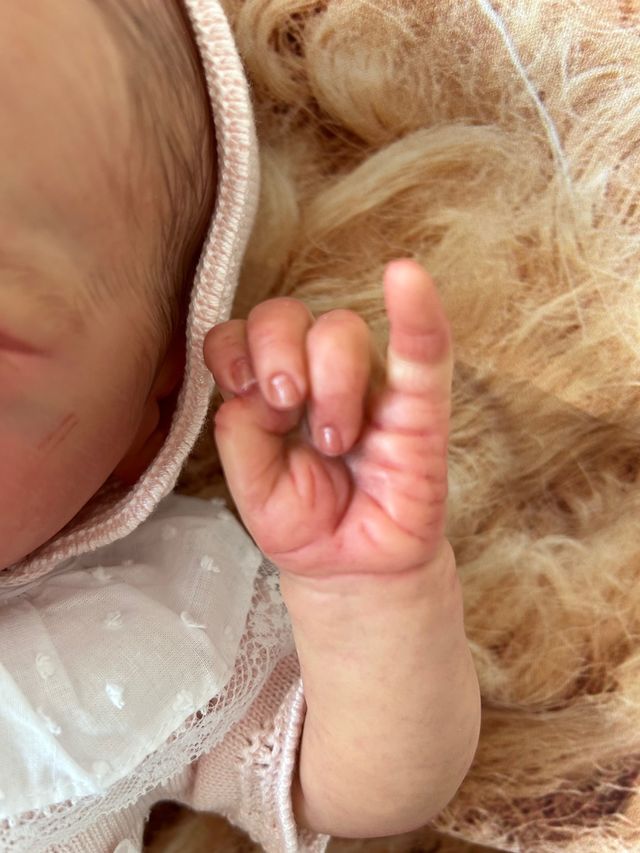 Bebé Reborn Paulin de Elisa Marx