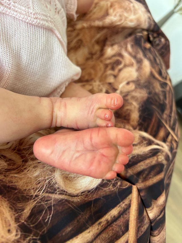 Bebé Reborn Paulin de Elisa Marx