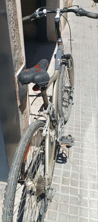 Bicicleta Adulto