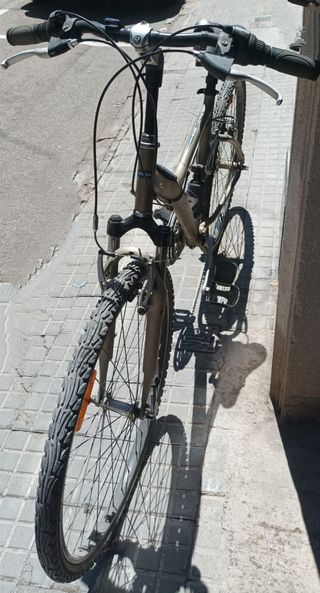 Bicicleta Adulto