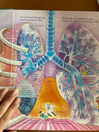 Libro “See inside Your Body”