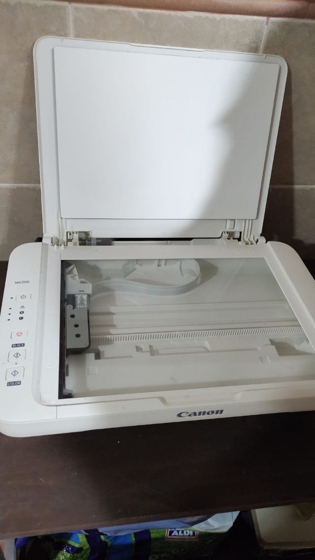 Impresora Canon MG 2550