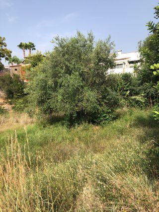 Terreno en venta