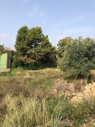 Terreno en venta