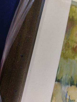 2 cuadros. Láminas con marco