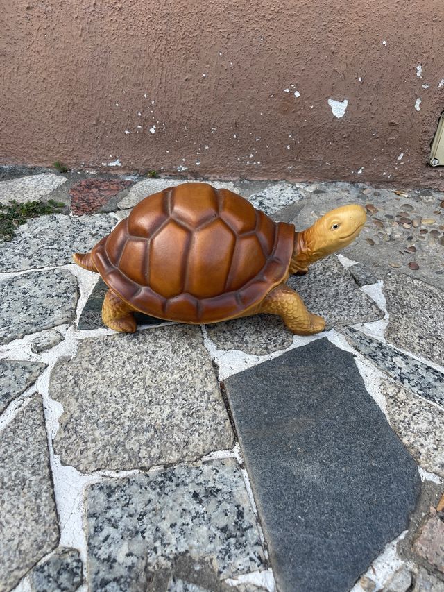 Tortuga jardín.