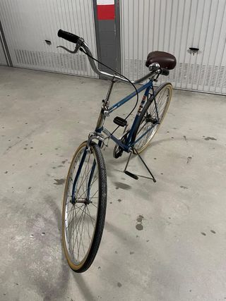 Bici de paseo
