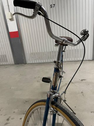 Bici de paseo