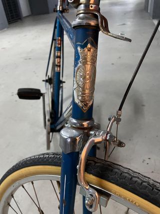 Bici de paseo