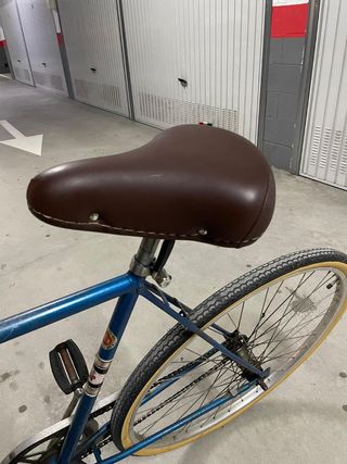 Bici de paseo