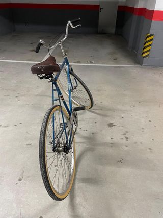 Bici de paseo