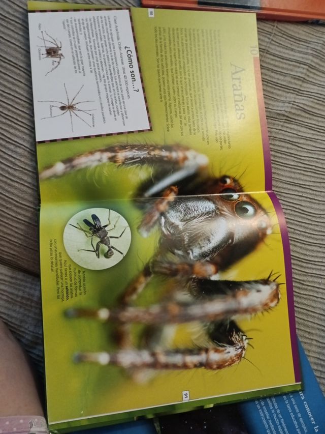 Naturaleza viajera. El maravilloso mundo de los...