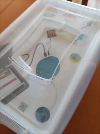 Zum Kit Junior bq