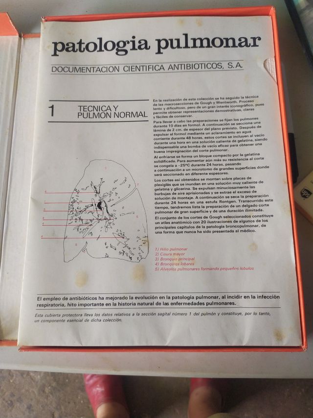 Patología pulmonar