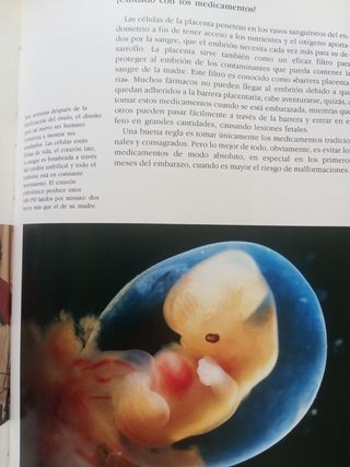 Nacer. La gran aventura