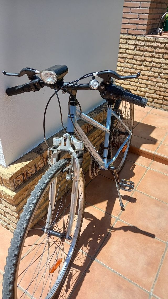 Bicicleta de paseo