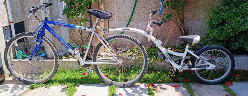 WeeRide Co-Pilot - Rimorchio Bici Per Bambini, Aggancio Rapido, Per Età 4-9 Anni (fino A 35kg) - Foto 6