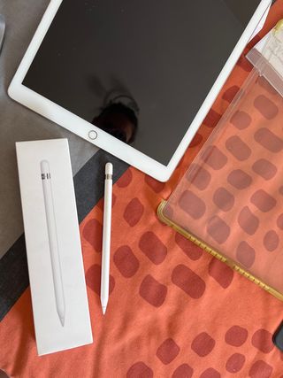 iPad Pro 12.9 pulgadas 